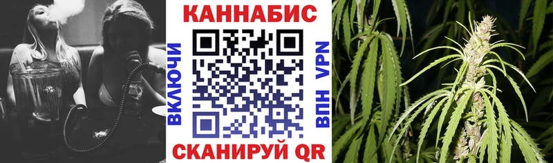 где купить наркоту  Мценск  Бошки Шишки VHQ 
