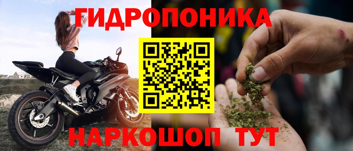 Бошки Шишки планчик  Вход с VPN  Мценск  Марихуана планчик  МАРИХУАНА сатива 